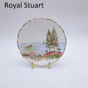 Royal Stuart Orphan Saucer